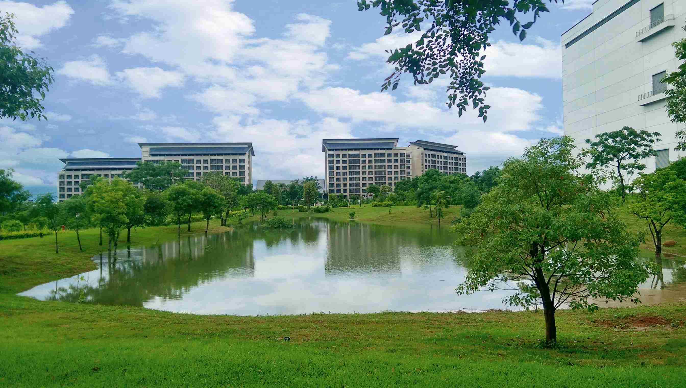 开云电子响应国际倡议生物多样性趋势，，，首次发布TNFD自然相关财务揭露报告书，，，擘划及开展开云电子生物多样性政策之承诺，，，逐步迈向与自然和谐共生